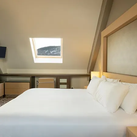 Отель Eurostars Royal Tanau